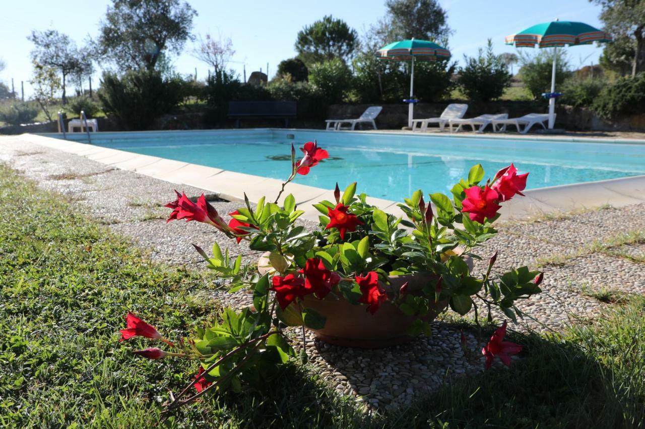 Agriturismo Tinti Montiano  Exterior foto